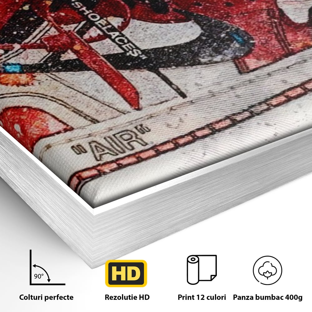 Detaliu al suprafetei: tablou canvas cu pantof sport rosu, in rama de aluminiu argintiu